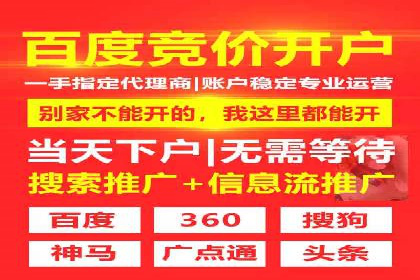 电商平台信息流广告的投放策略与效果评估案例